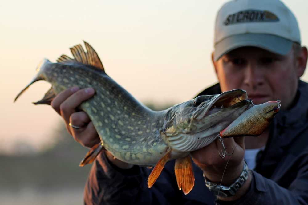 Czas letniej kanikuły